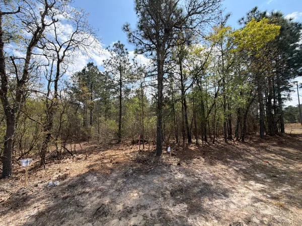 $89,900 | 2 Mt Calvary Rd Ridge Spring, Unit CVA 2, Ridge Spring, SC 29129