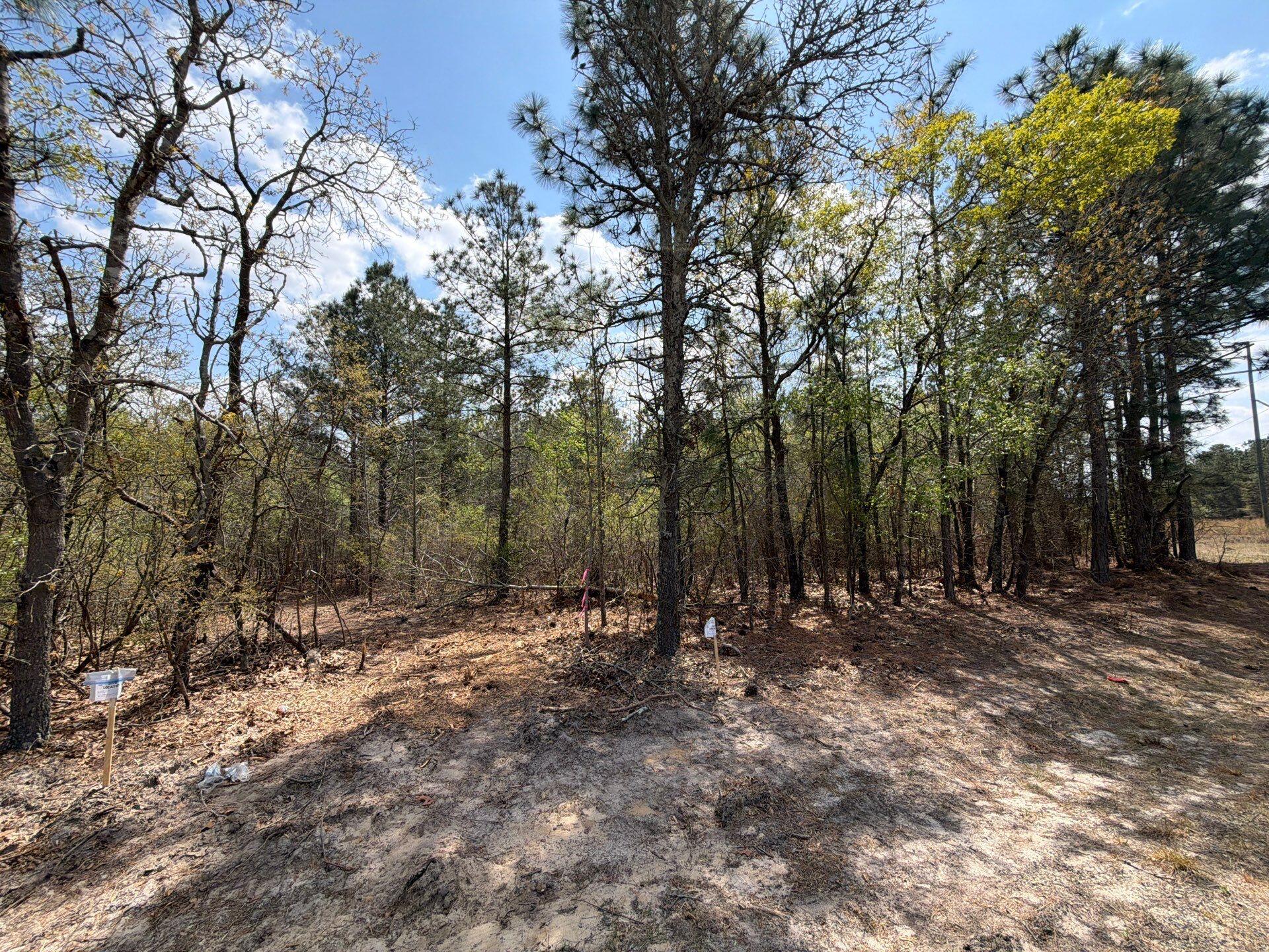 2 Mt Calvary Rd Ridge Spring, Unit CVA 2 Ridge Spring, SC 29129 - Photo 3 of 18 21-Mar 26 2026 05_05pm-xGqr