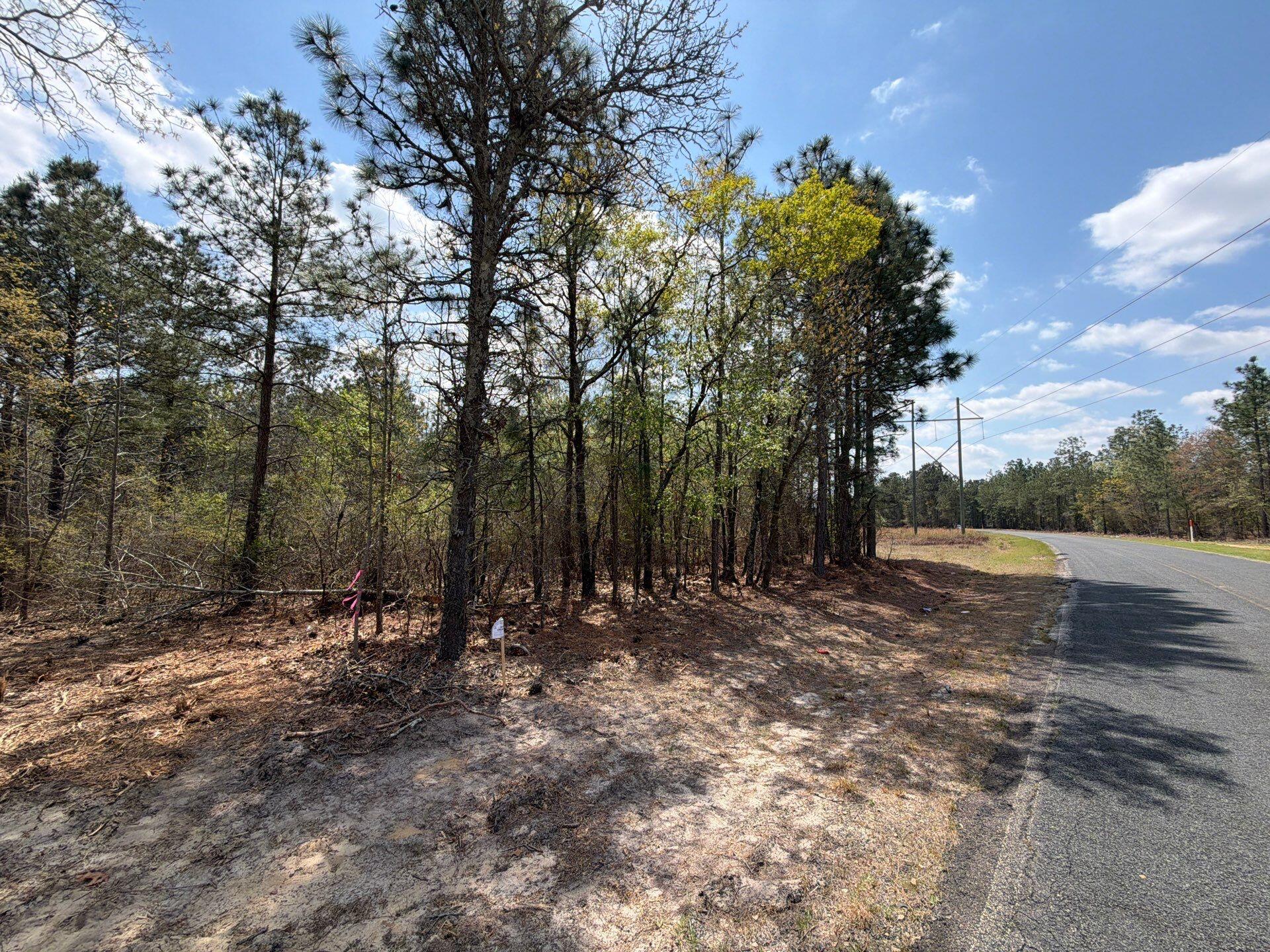 2 Mt Calvary Rd Ridge Spring, Unit CVA 2 Ridge Spring, SC 29129 - Photo 4 of 18 20-Mar 26 2026 05_05pm-zB8u