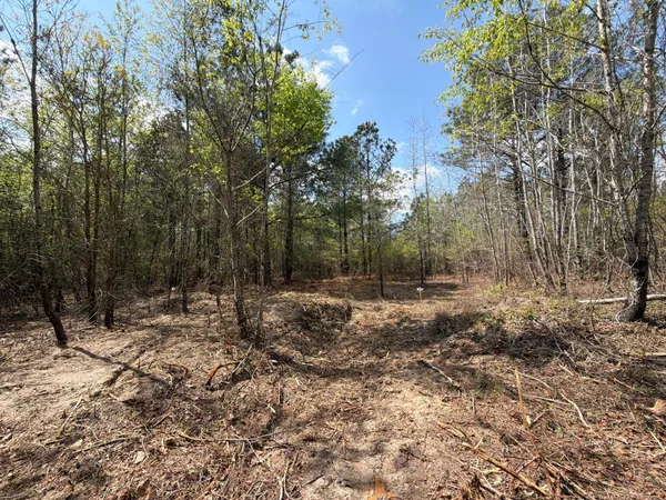$89,900 | 2 Mt Calvary Rd Ridge Spring, Unit CVA 2, Ridge Spring, SC 29129
