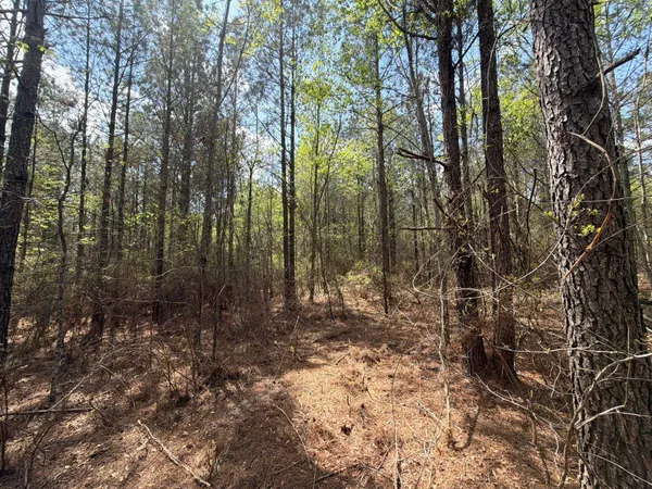 $89,900 | 2 Mt Calvary Rd Ridge Spring, Unit CVA 2, Ridge Spring, SC 29129
