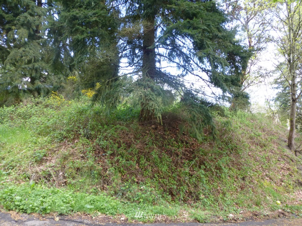 0 Front Avenue West Bremerton, WA 98312 - Photo 2 of 3