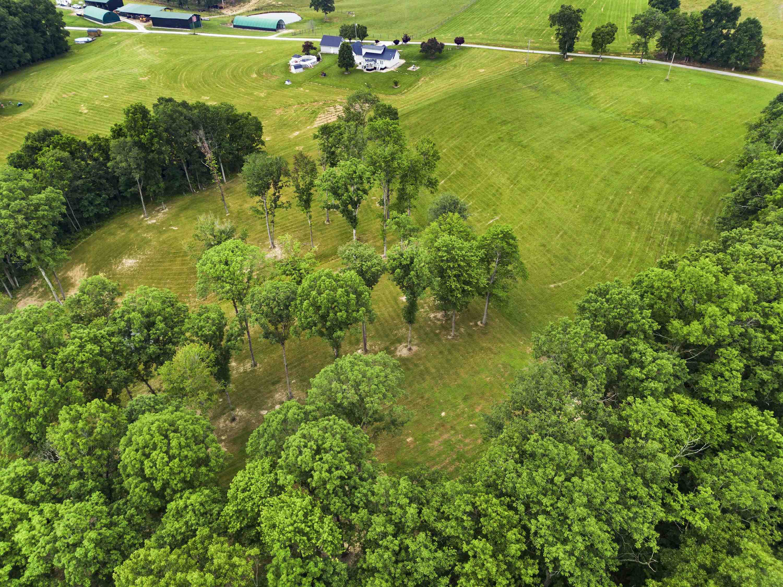 0 Salem Road Grayson, KY 41143 - Photo 11 of 25