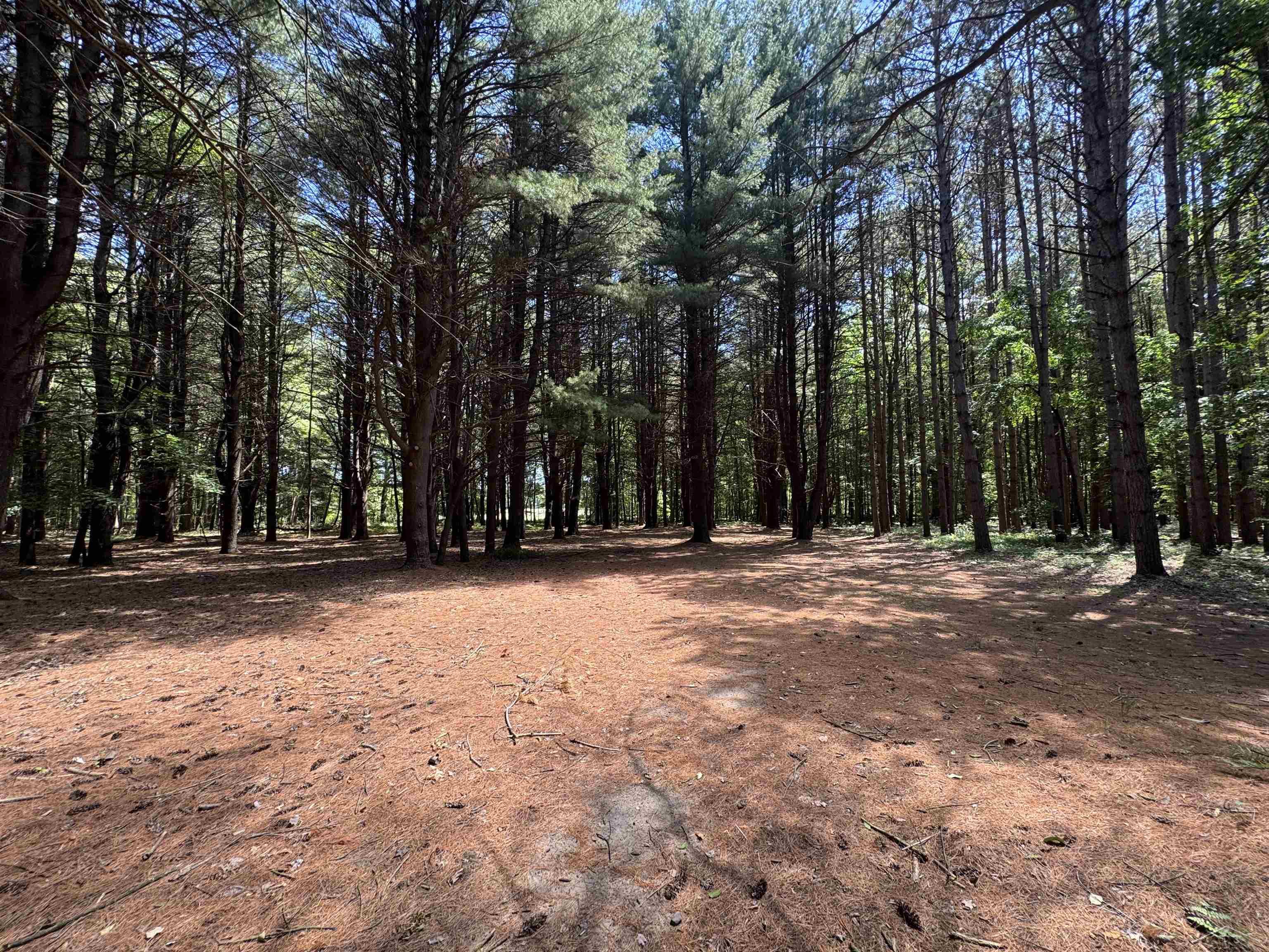 South Fenmore Road Merrill, MI 48637 - Photo 24 of 31