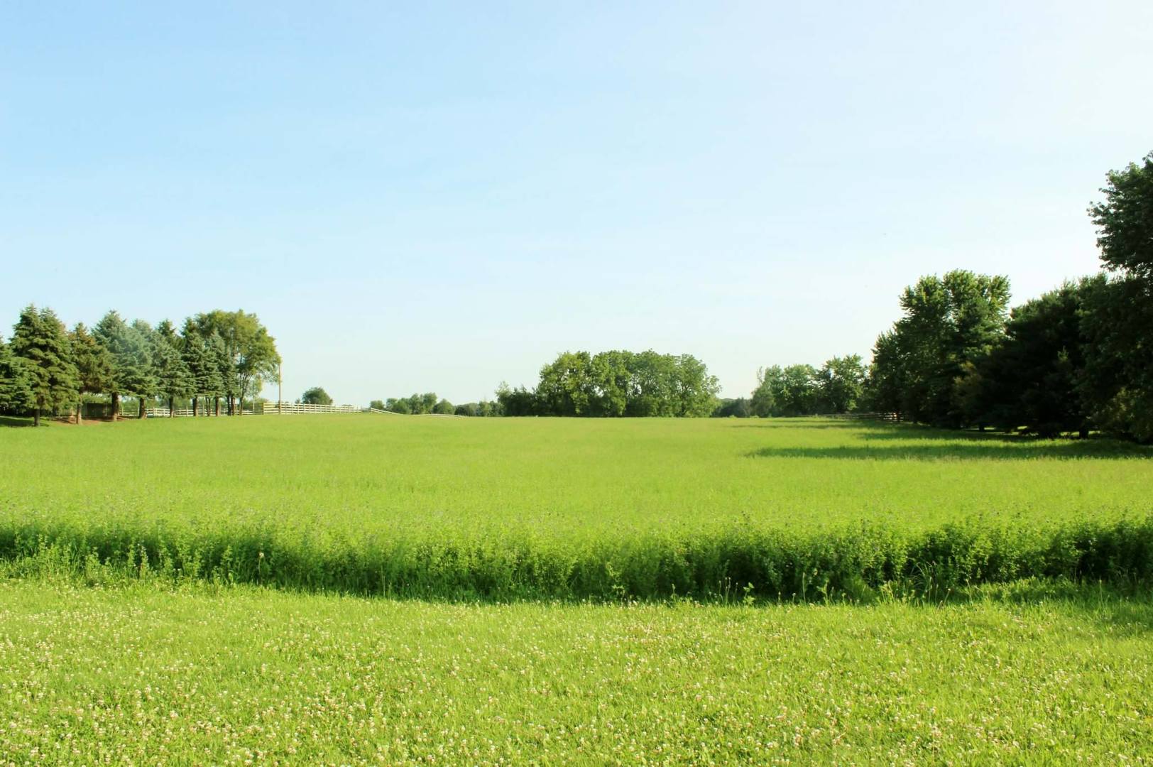 45 Kelley Road Hampshire, IL 60140 - Photo 2 of 2 a view of a garden with a lake