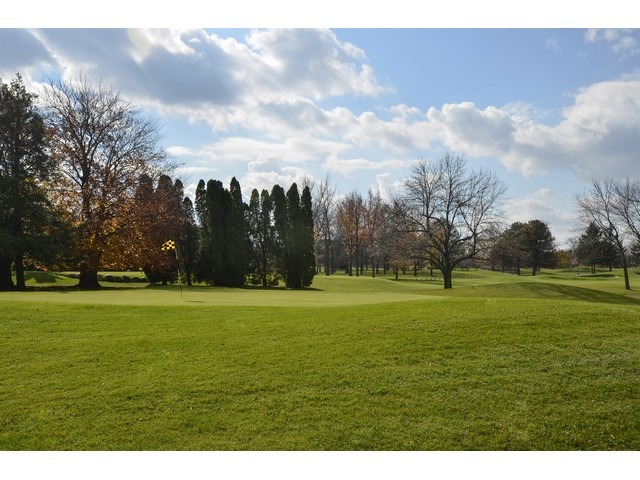 604 Raintree Road Buffalo Grove, IL 60089 - Photo 3 of 21