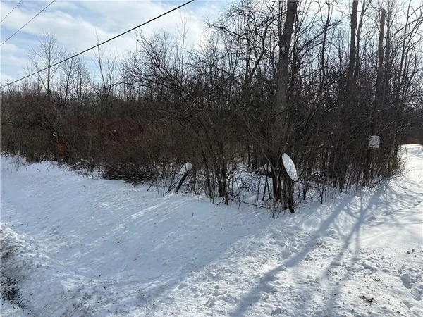 $138,500 | 0 Townsend Road, Watkins Glen, NY 14891