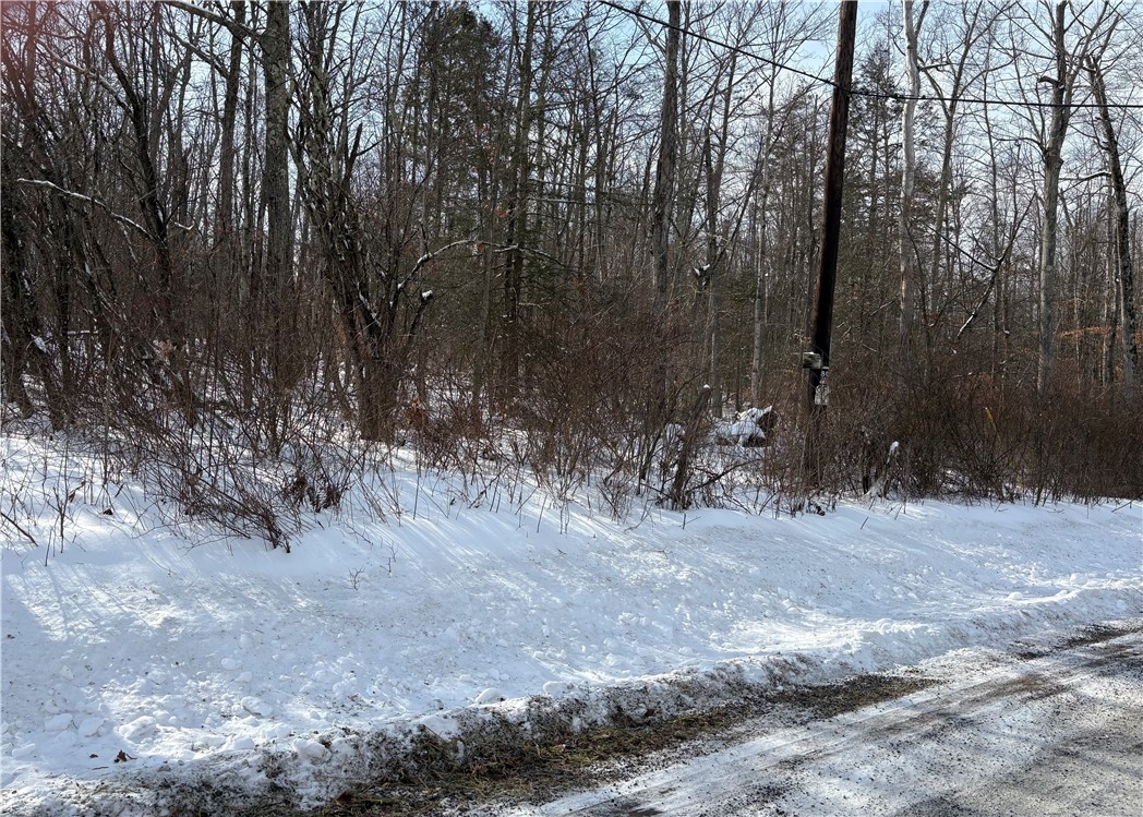 0 Townsend Road Watkins Glen, NY 14891 - Photo 3 of 5