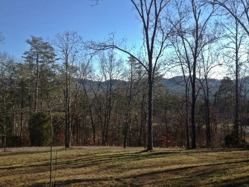 295 Mountain View Drive Rutledge, TN 37861 - Photo 2 of 26 Additional Photo