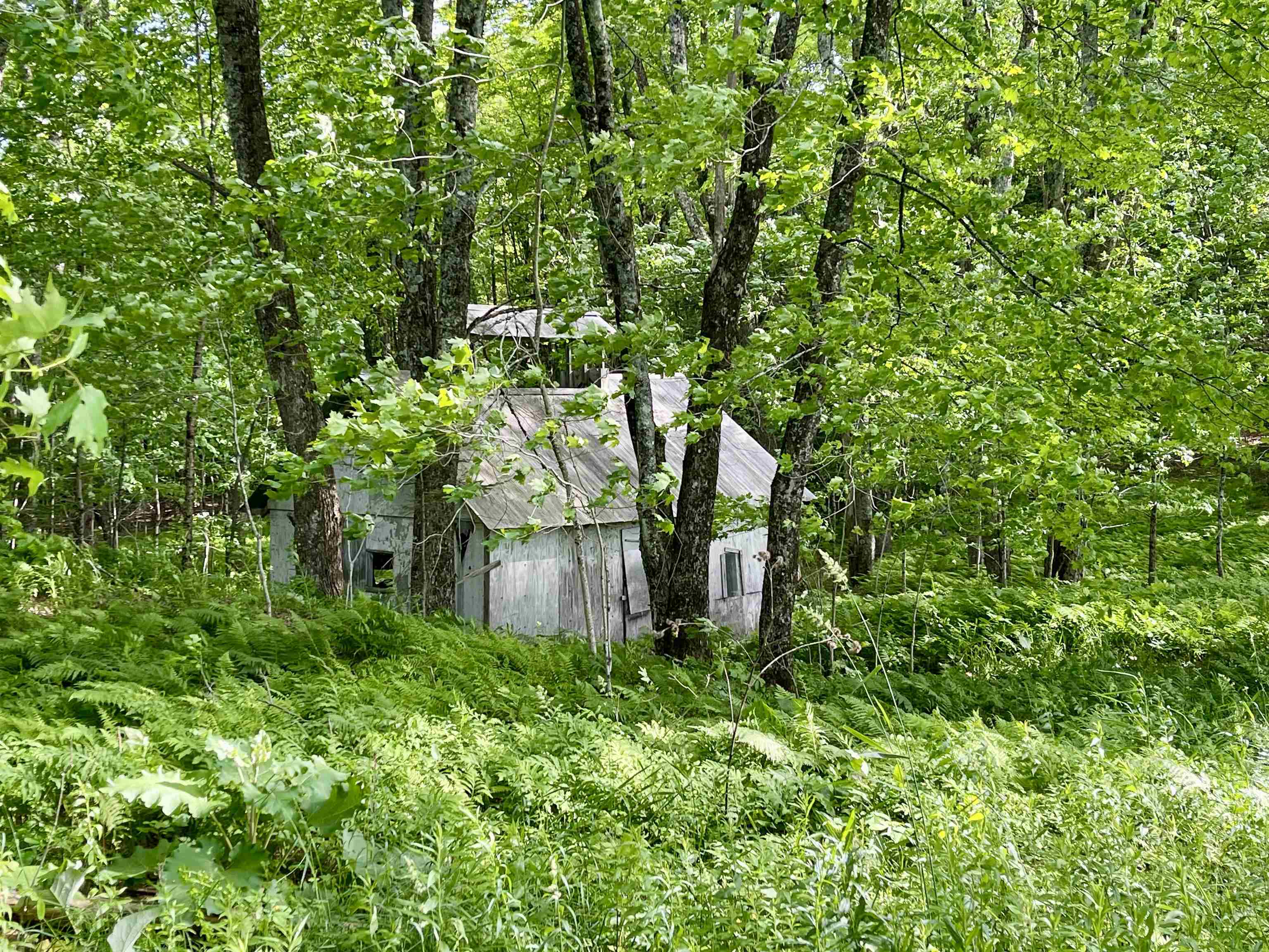 0 Old Farm Road West Burke, VT 05871 - Photo 8 of 14