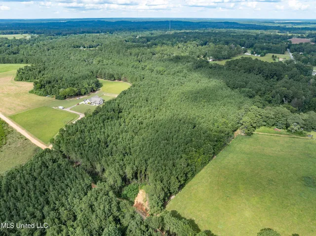 $125,000 | Parcel A Parcel A J Runnels Road, Petal, MS 39465