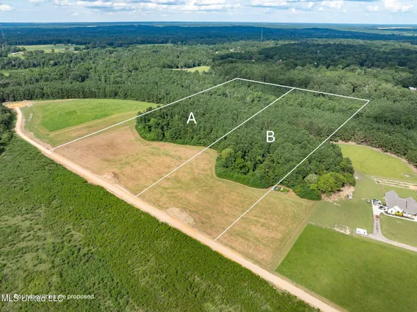 $125,000 | Parcel A Parcel A J Runnels Road, Petal, MS 39465