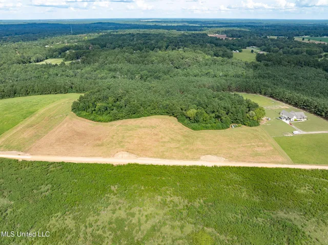 $125,000 | Parcel A Parcel A J Runnels Road, Petal, MS 39465