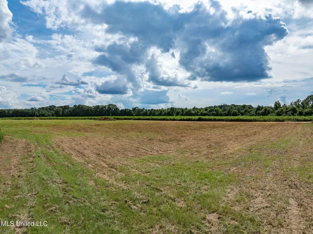 $125,000 | Parcel A Parcel A J Runnels Road, Petal, MS 39465