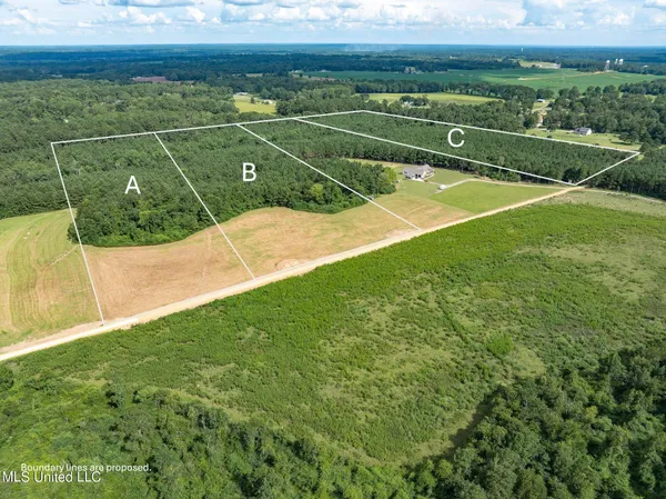 $125,000 | Parcel A Parcel A J Runnels Road, Petal, MS 39465