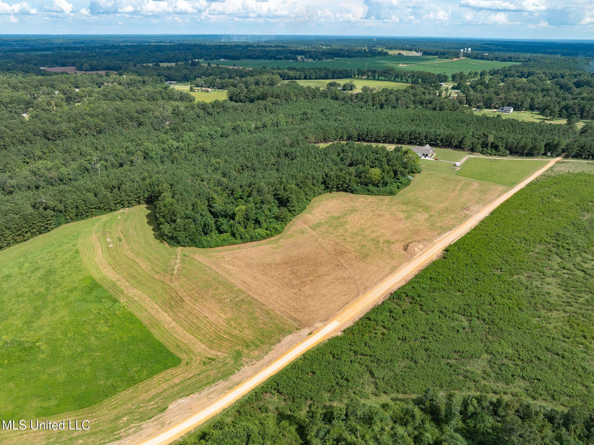 Parcel A Parcel A J Runnels Road Petal, MS 39465 - Photo 10 of 15 J_Runnels_Common-11.0