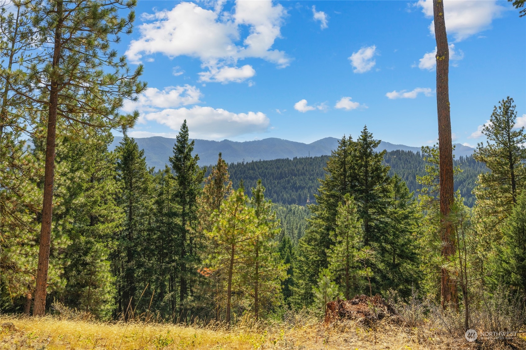 1200 Pinegrass Loop Cle Elum, WA 98922 - Photo 10 of 40