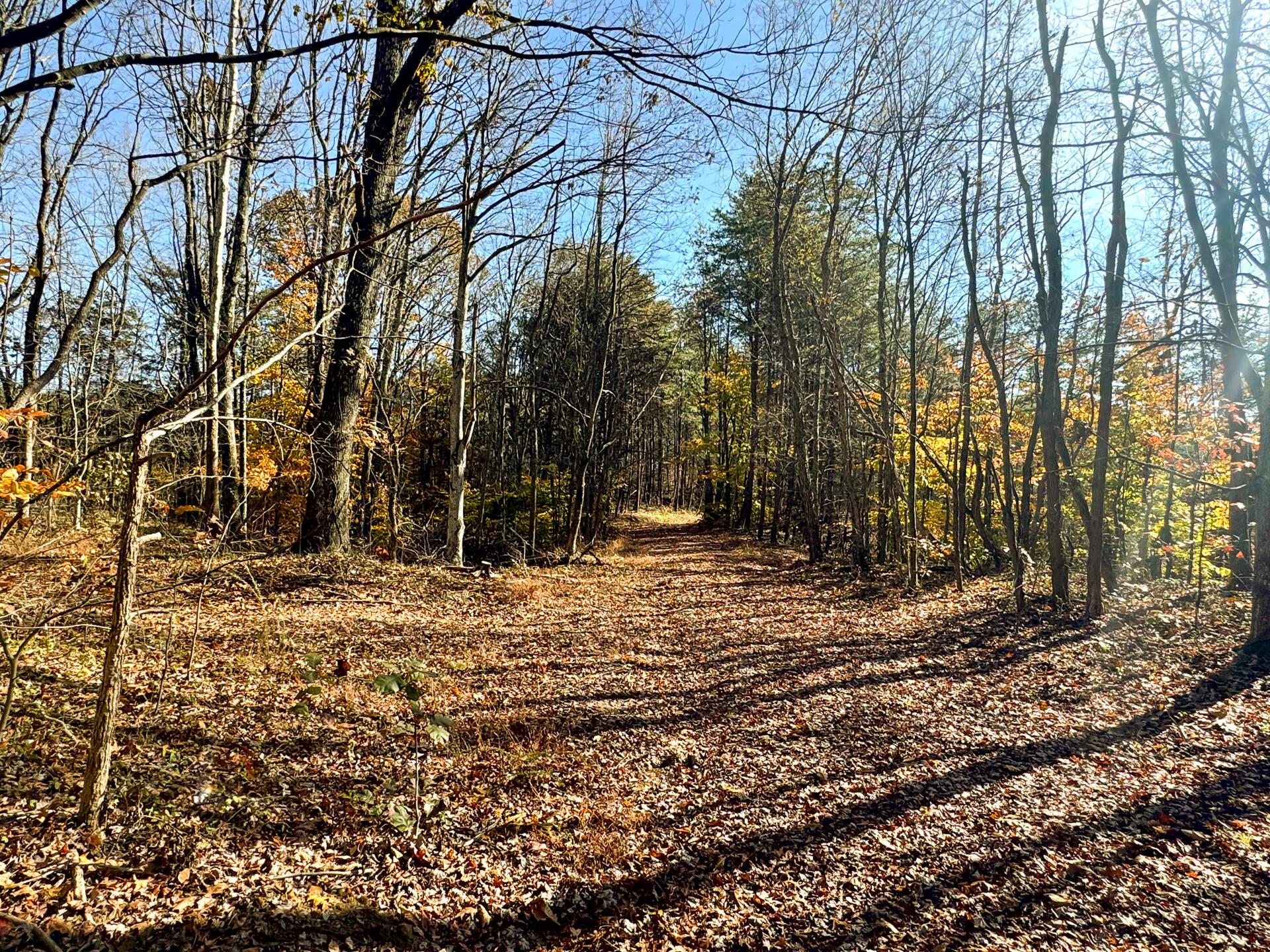 818 Campaign Poplar Road, Unit PONDS POPLAR RIDGE TRACT 4) Gallipolis, OH 45631 - Photo 8 of 24 CT-8