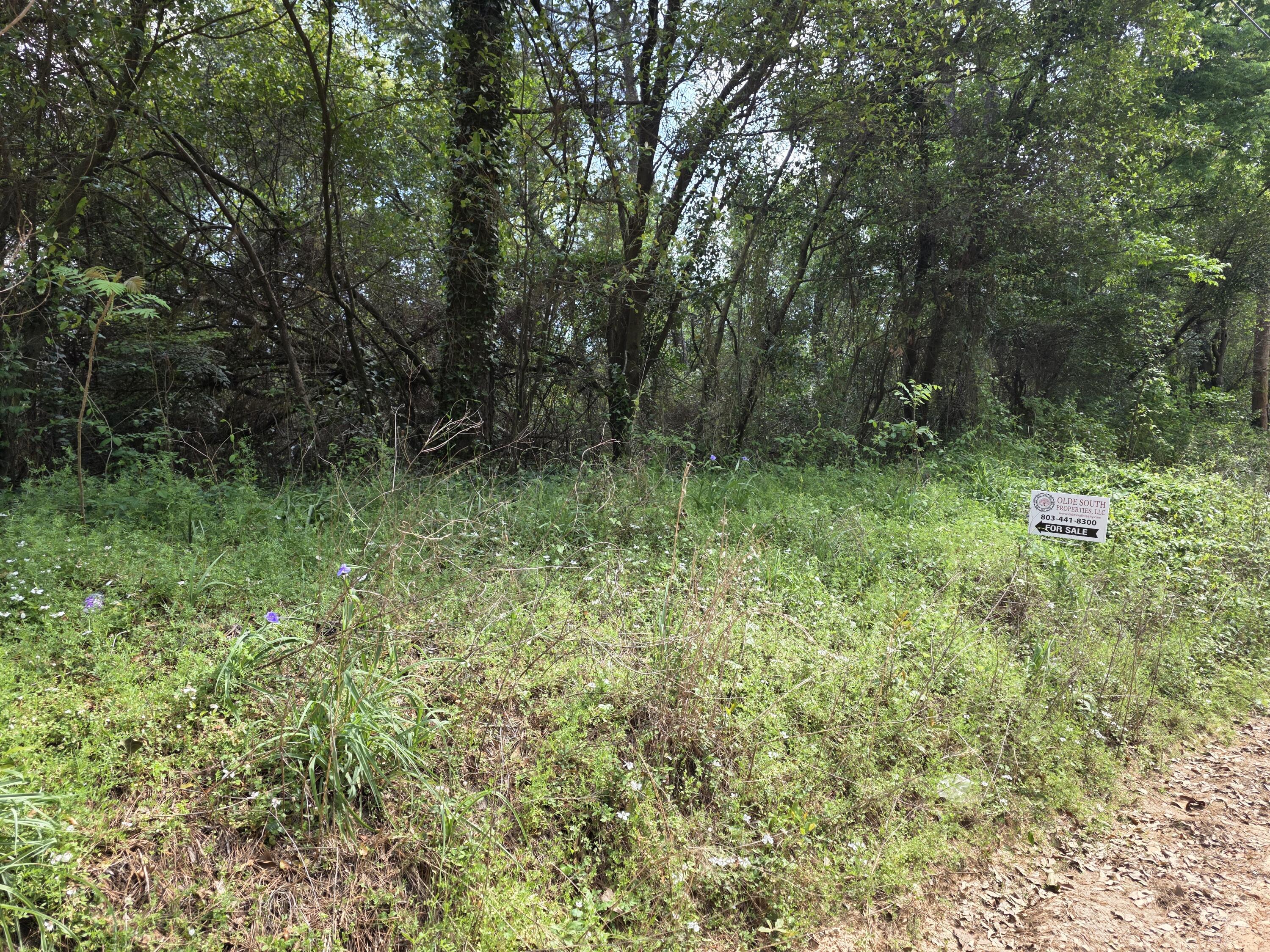5 A Bradleyville Road North Augusta, SC 29841 - Photo 2 of 2 20260326_115423