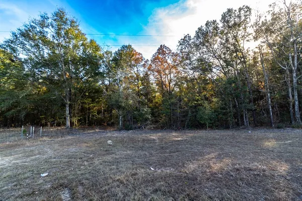 a view of outdoor space with trees all around