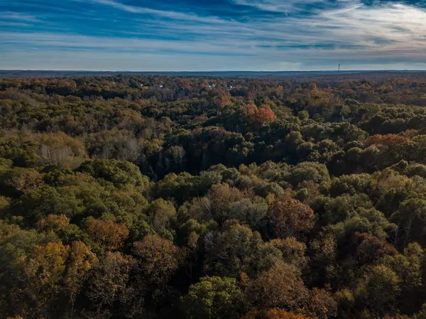 a view of a lots of trees