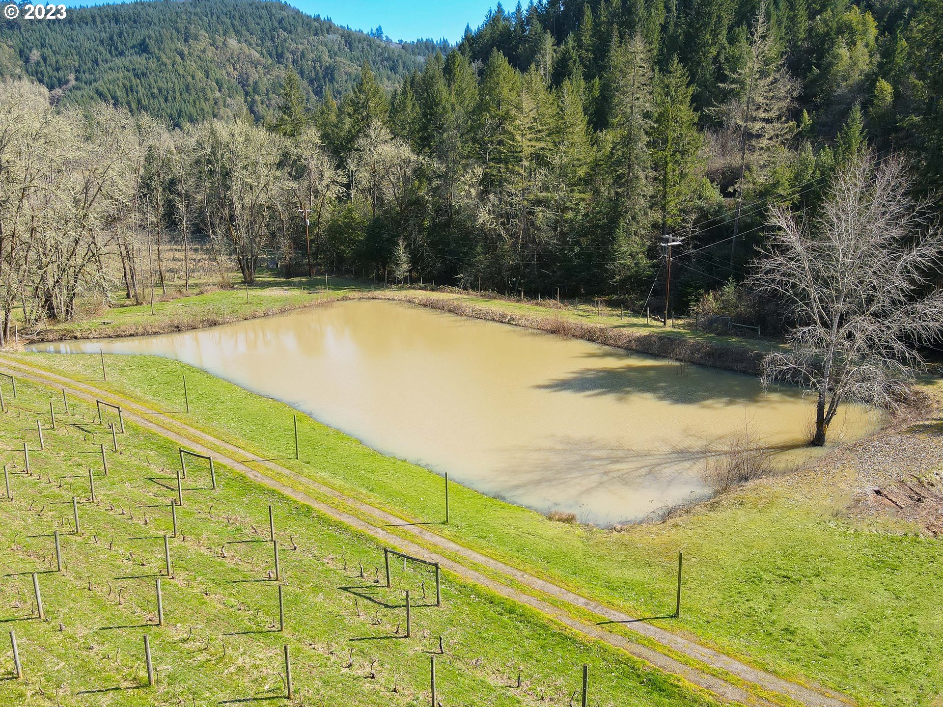 375 Porter Creek Road Winston, OR 97496 - Photo 13 of 41 Pond