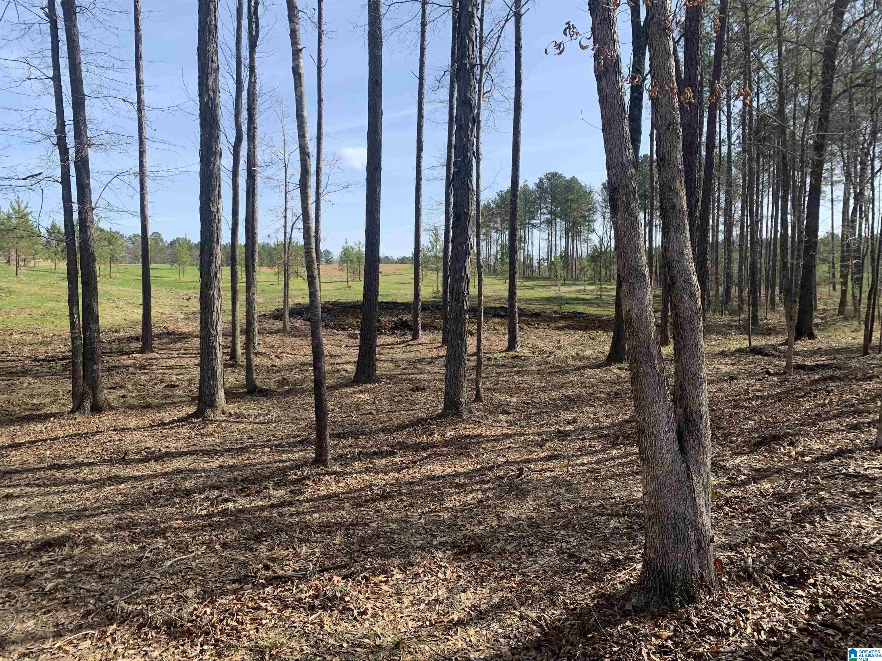 57 Rocky Ridge Road, Unit 5 Columbiana, AL 35051 - Photo 2 of 4