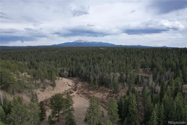 $875,000 | 57 Trout Creek Circle, Divide, CO 80814