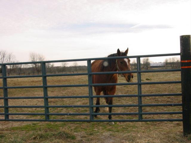 605 Shannon Run Road Versailles, KY 40383 - Photo 50 of 50 Photo 52