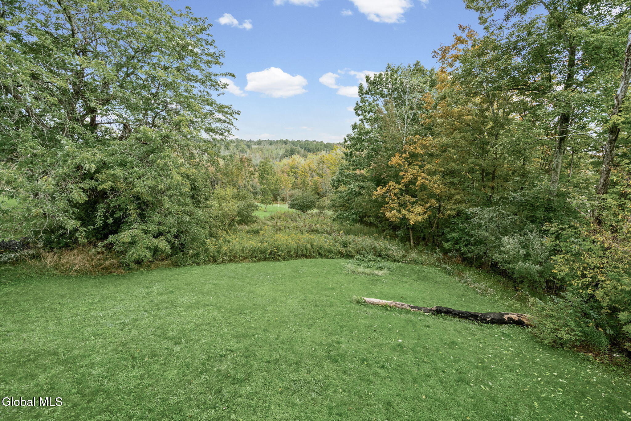 248 Simons Road Berne, NY 12009 - Photo 7 of 37 10-web-or-mls-248-simon-rd