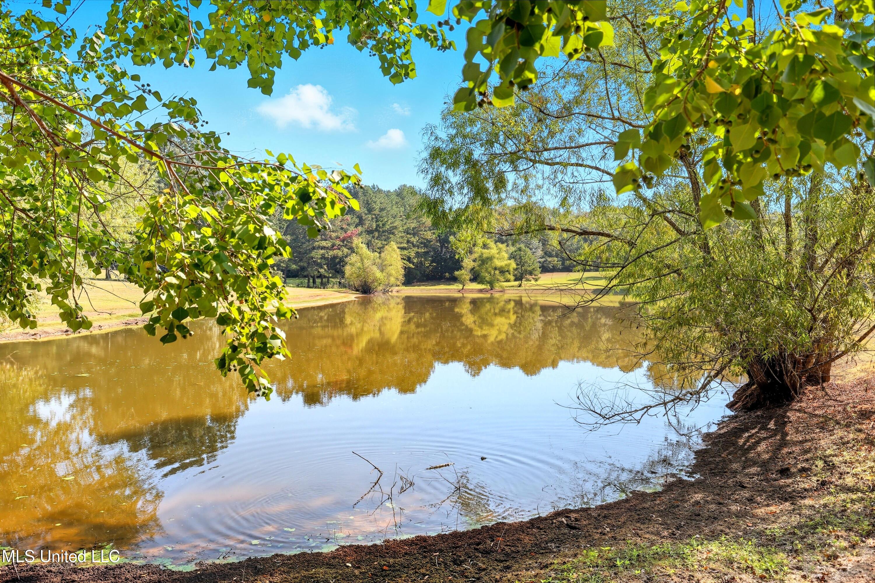 226 Alliston Farm Road Florence, MS 39073 - Photo 59 of 86 IMG_0970