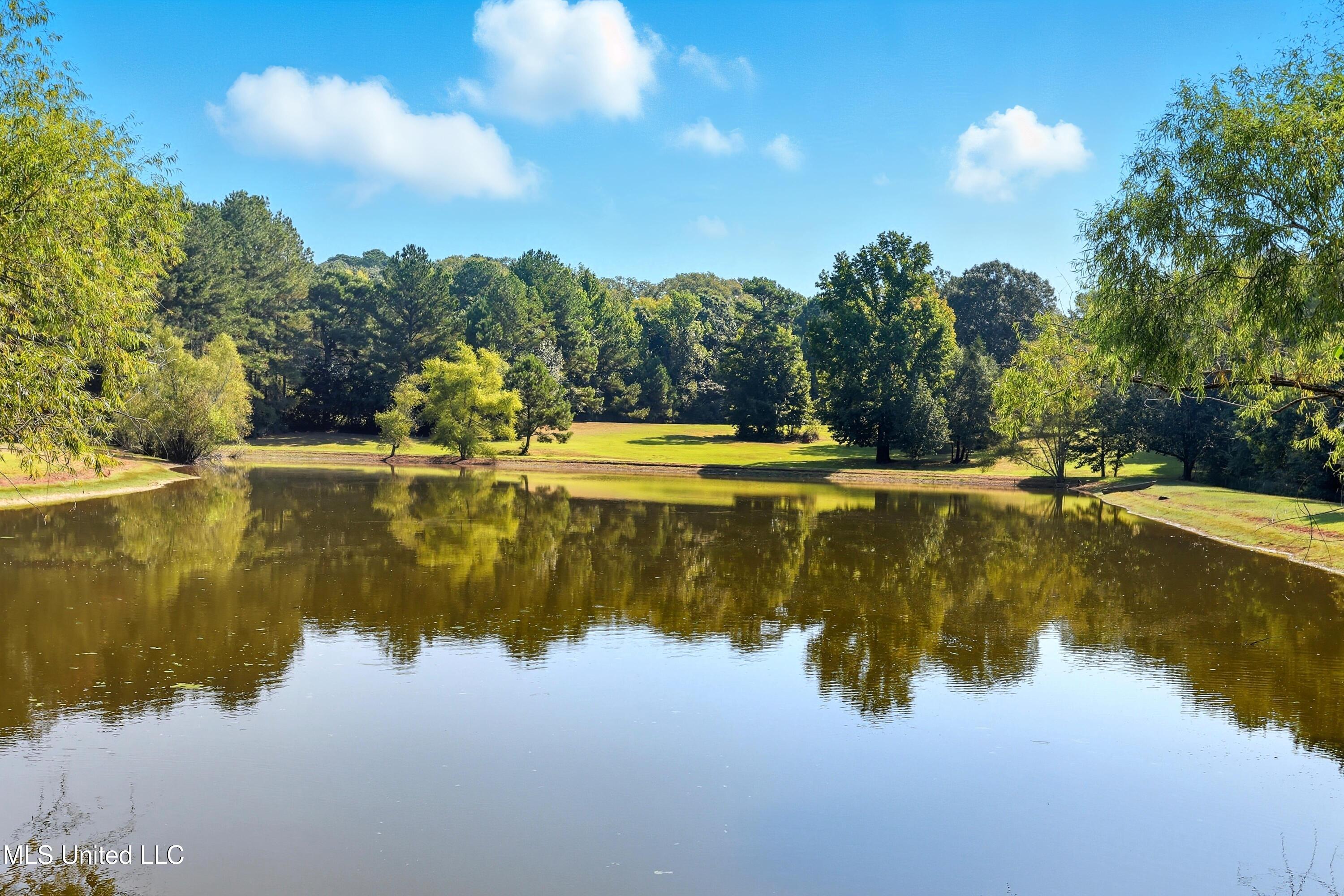 226 Alliston Farm Road Florence, MS 39073 - Photo 60 of 86 IMG_0971