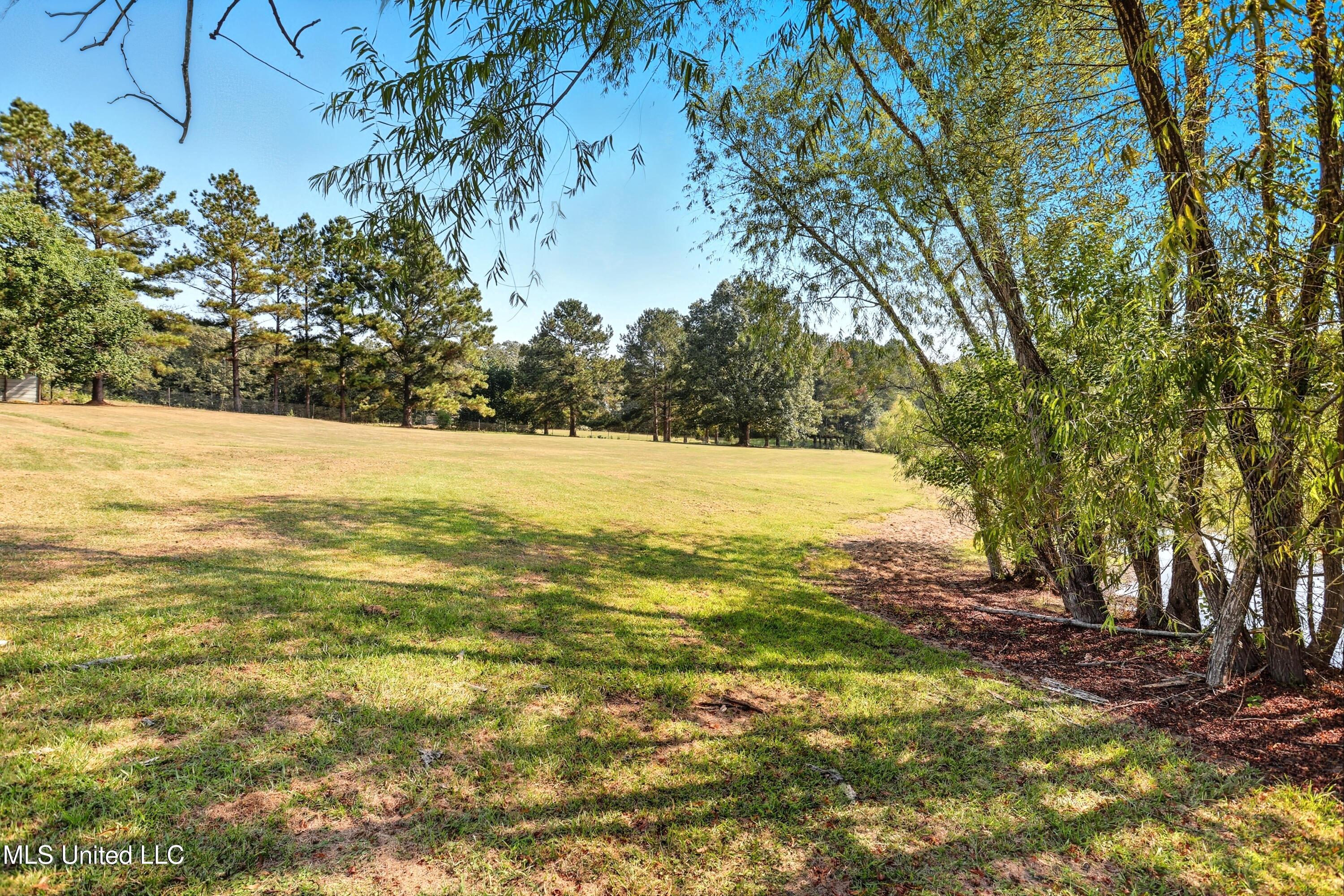 226 Alliston Farm Road Florence, MS 39073 - Photo 61 of 86 IMG_0972