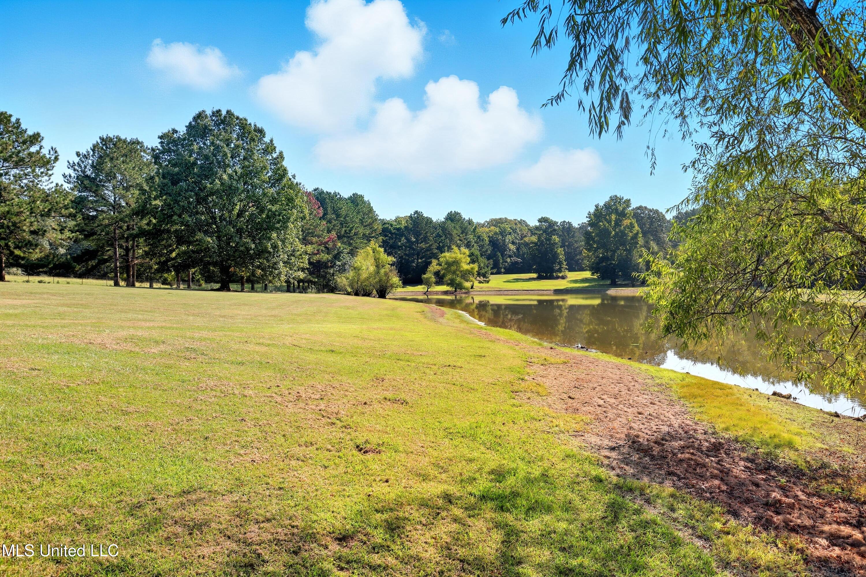 226 Alliston Farm Road Florence, MS 39073 - Photo 62 of 86 IMG_0973