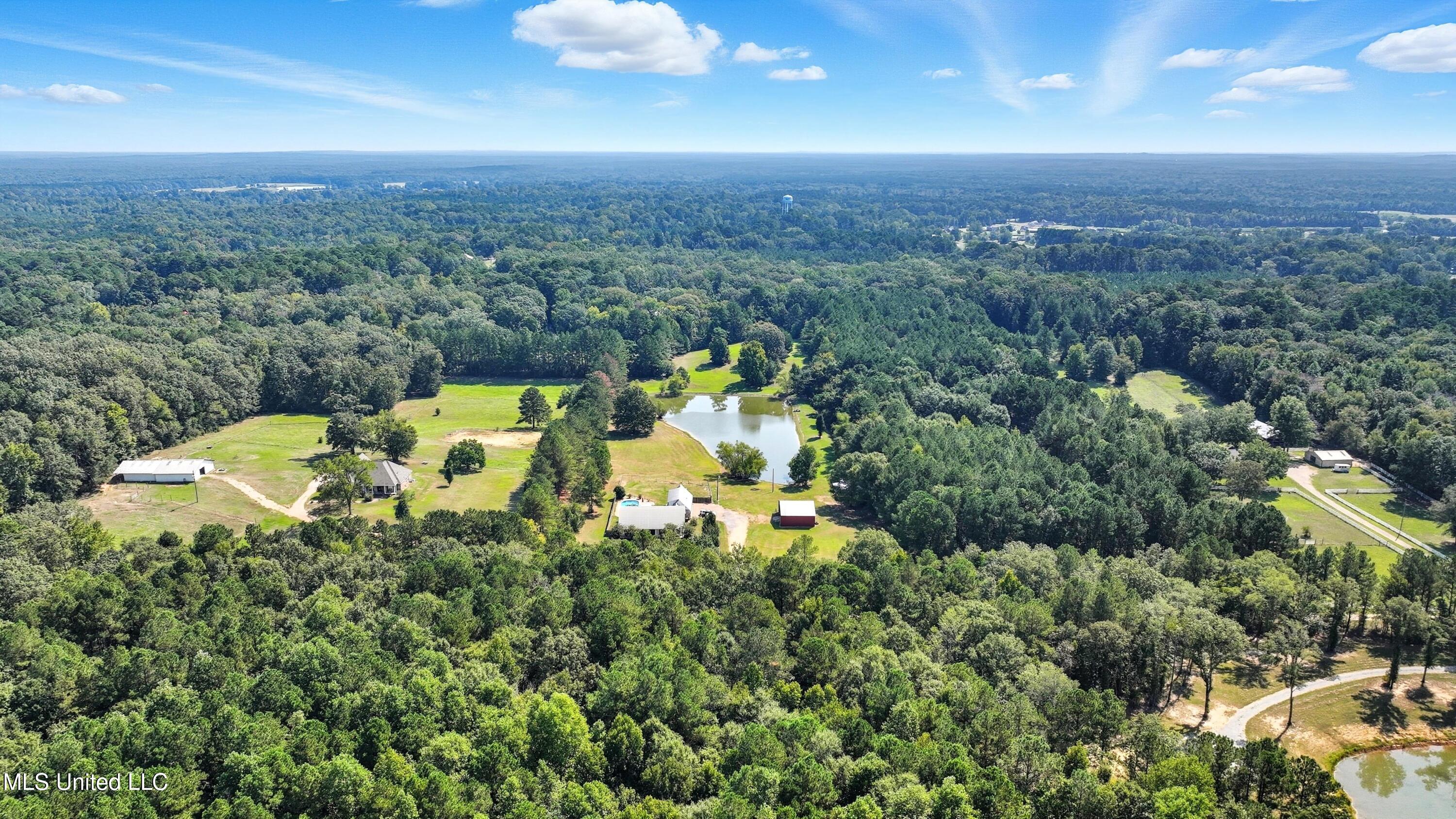 226 Alliston Farm Road Florence, MS 39073 - Photo 66 of 86 IMG_0979