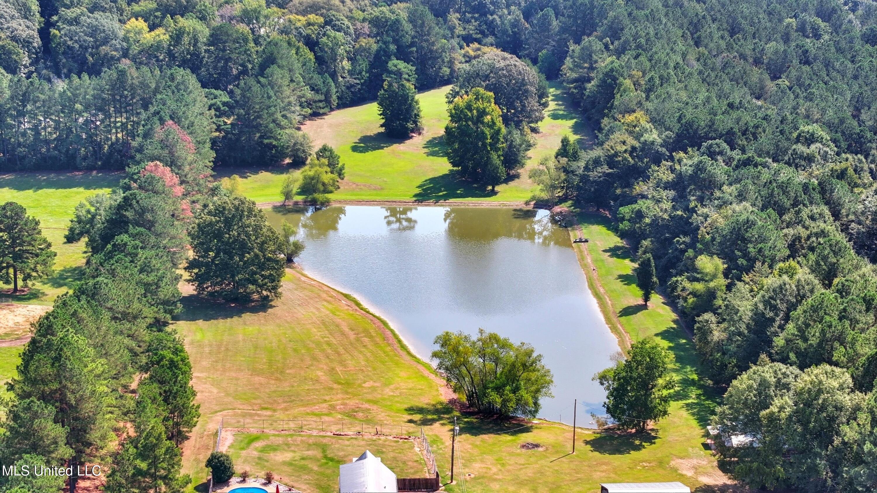 226 Alliston Farm Road Florence, MS 39073 - Photo 68 of 86 IMG_0983