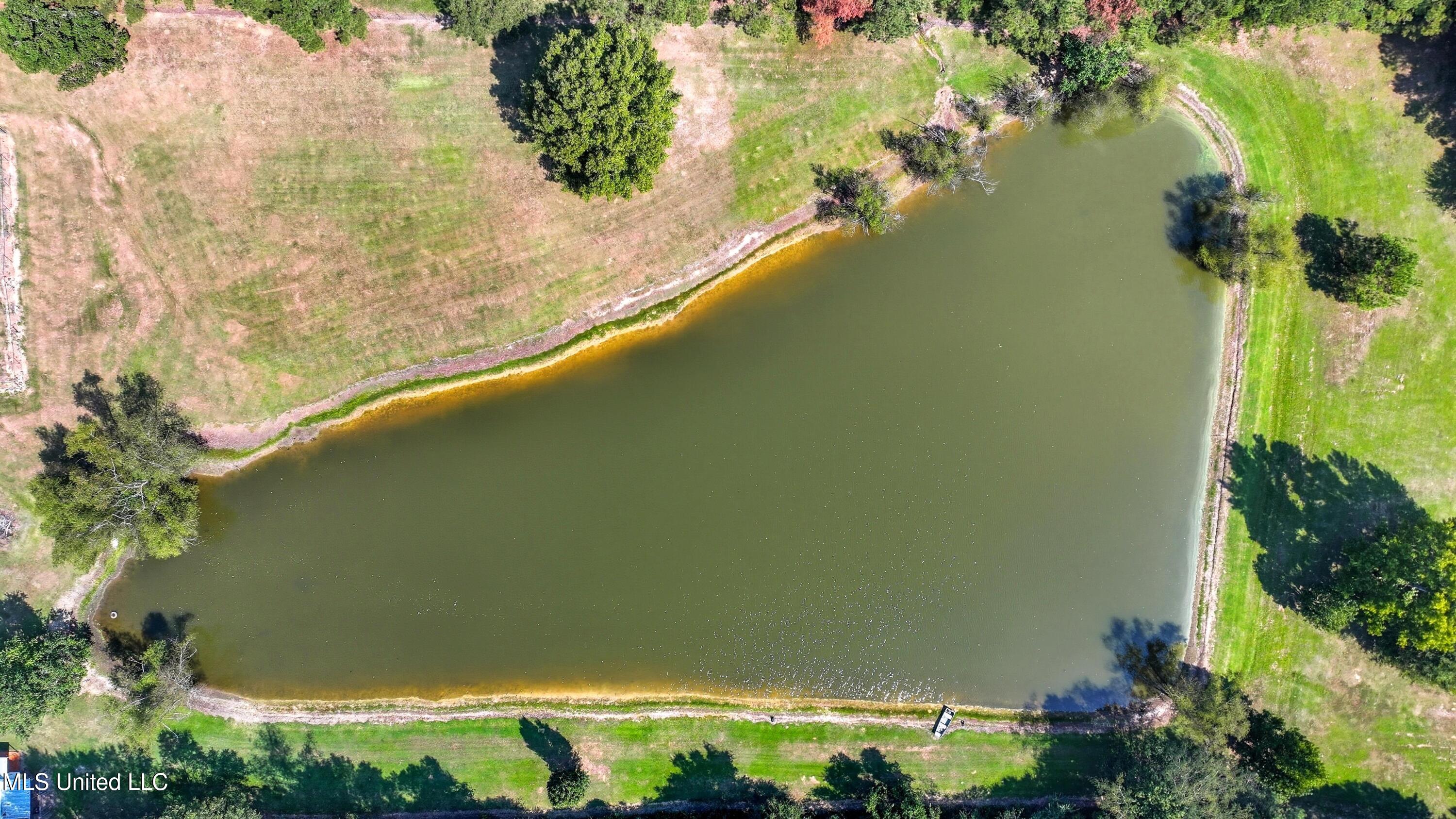 226 Alliston Farm Road Florence, MS 39073 - Photo 71 of 86 IMG_0987