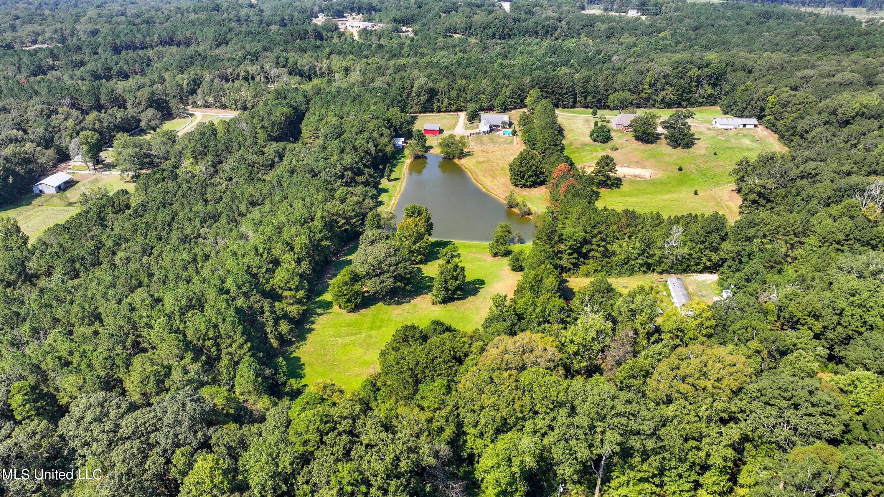 226 Alliston Farm Road Florence, MS 39073 - Photo 73 of 86 IMG_0989