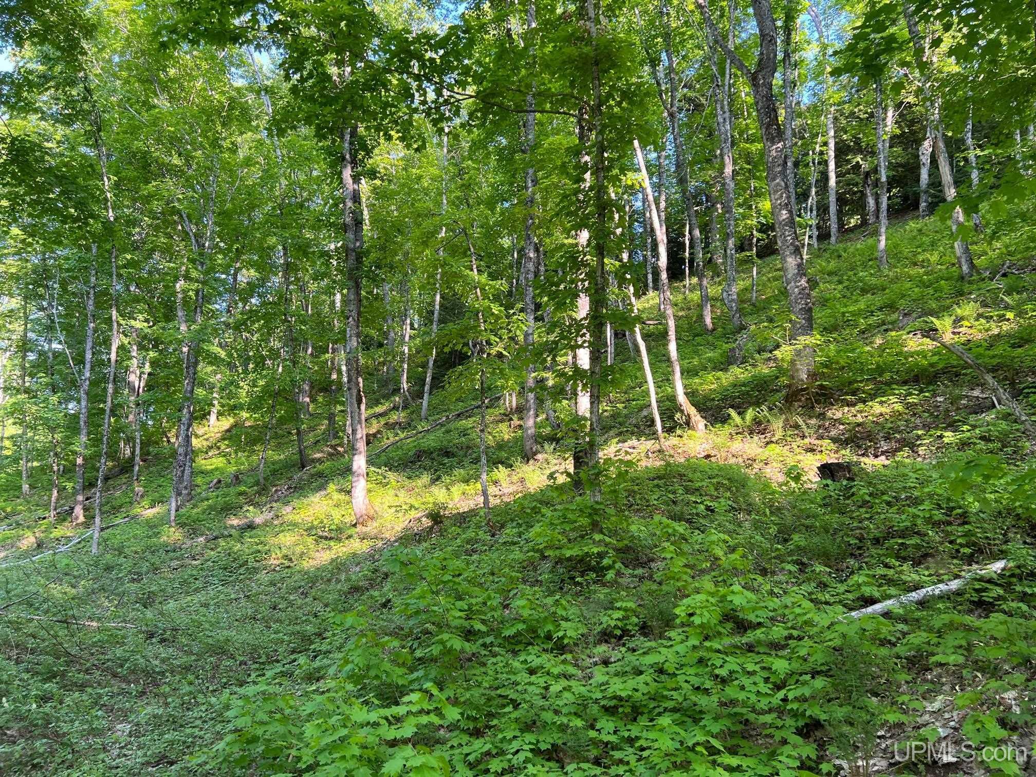 Tbd359 Tbd359 Aaa Road Big Bay, MI 49808 - Photo 22 of 36