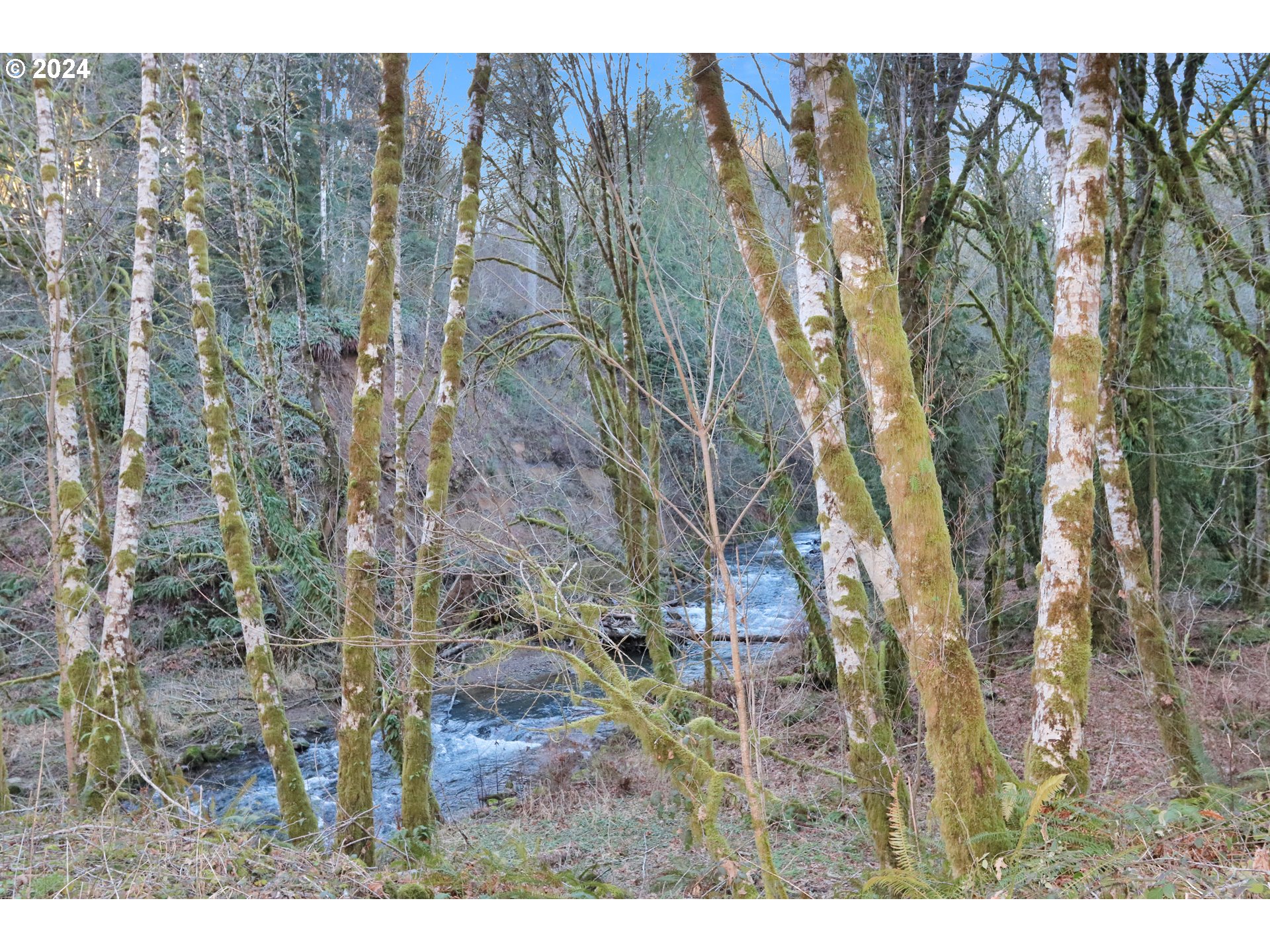 0 Coal Creek Road Longview, WA 98632 - Photo 8 of 19 Gallery Image 8