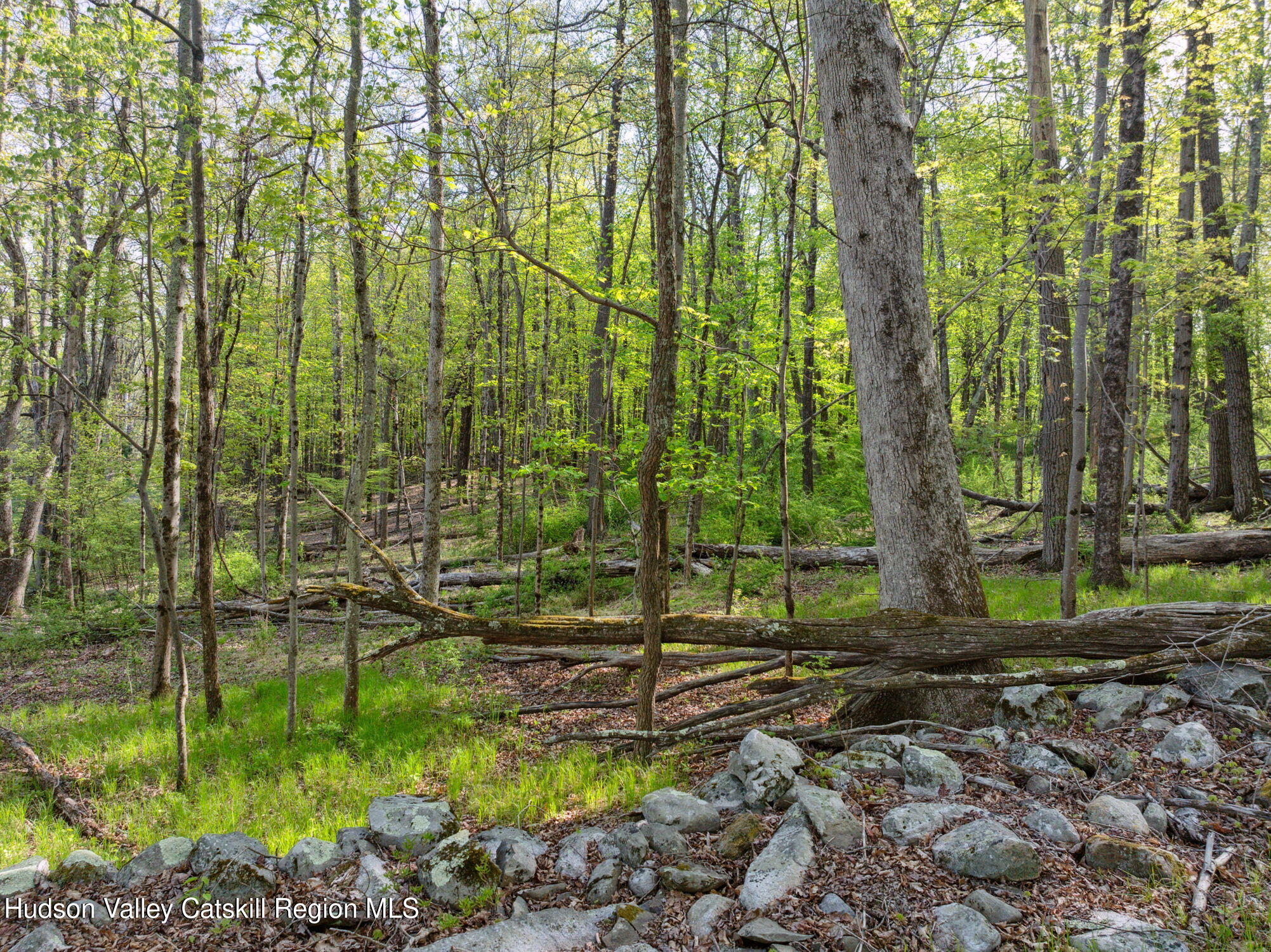 55-65 South Mountain Road Wallkill, NY 12589 - Photo 5 of 15 a backyard of a house with lots of green space
