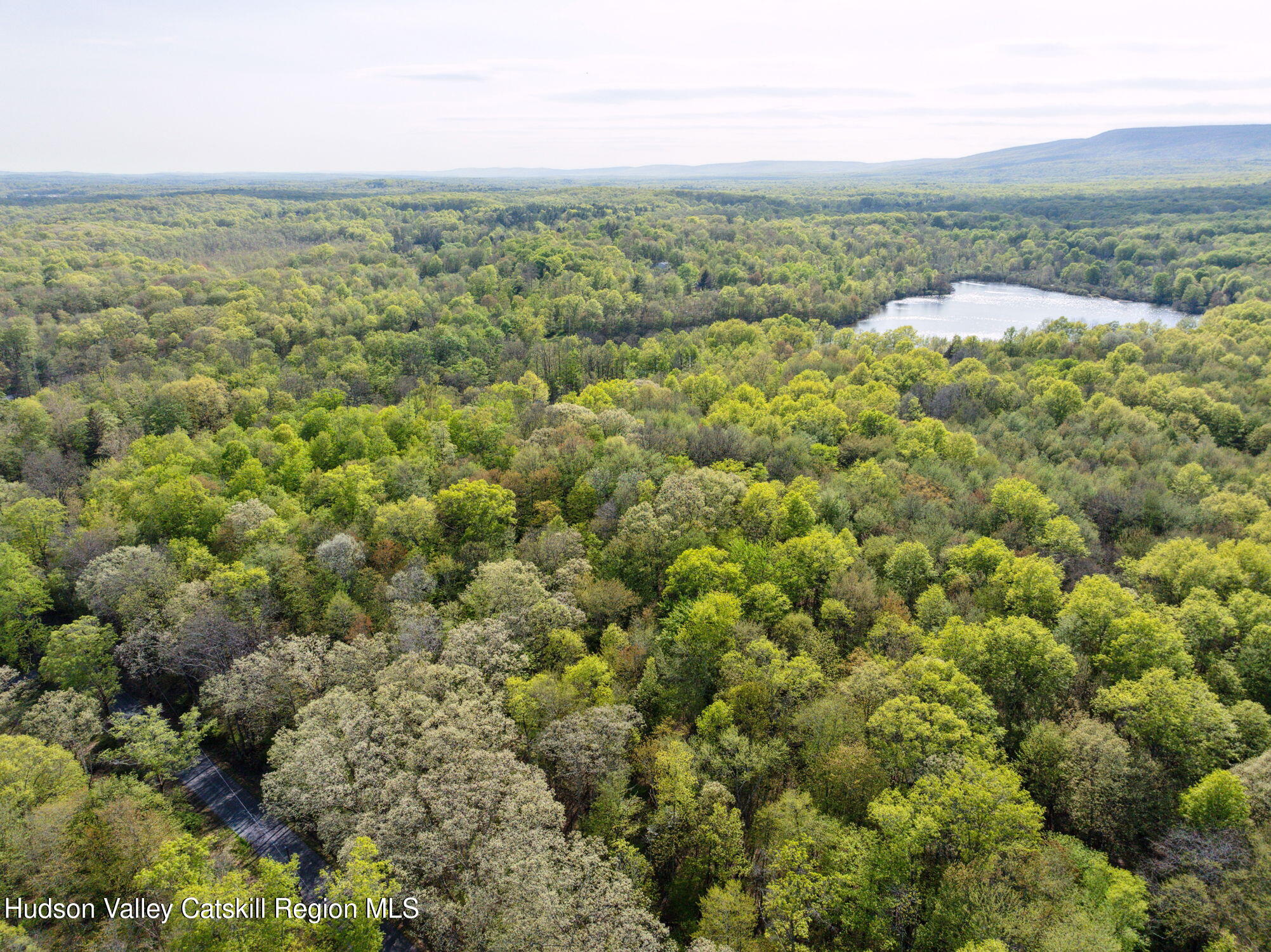 55-65 South Mountain Road Wallkill, NY 12589 - Photo 6 of 15 a view of a forest with a street