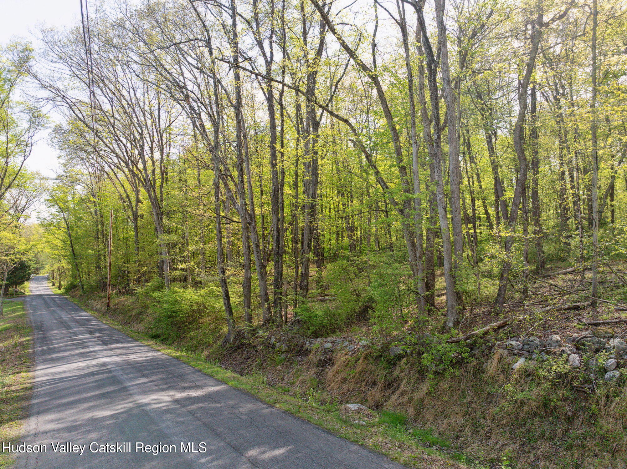 55-65 South Mountain Road Wallkill, NY 12589 - Photo 7 of 15 a view of a yard with plants and trees