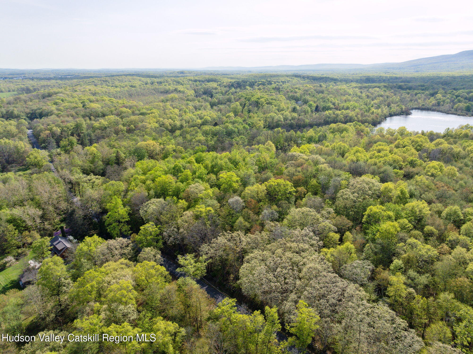 55-65 South Mountain Road Wallkill, NY 12589 - Photo 8 of 15 an aerial view of forest