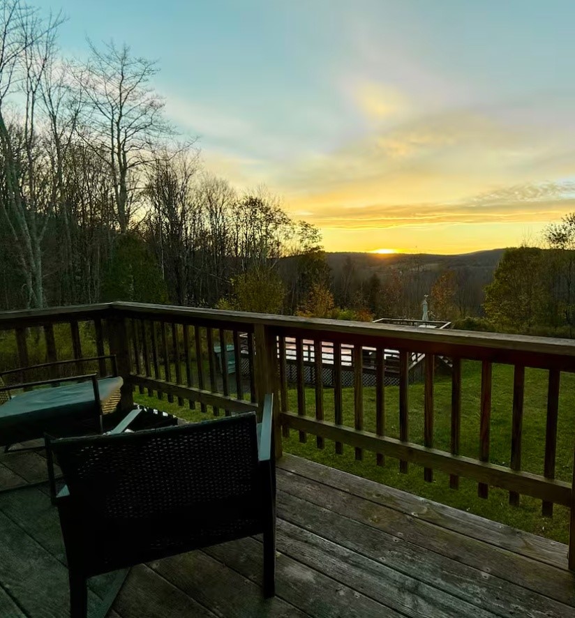 903 Dimmick Mountain Road Denver, NY 12421 - Photo 41 of 43