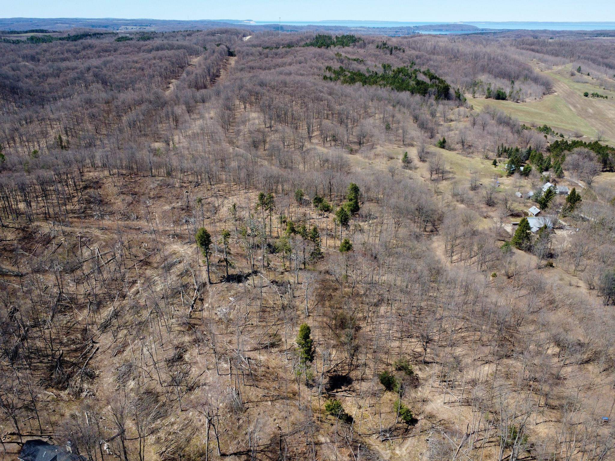 0 East Smiseth Road Suttons Bay, MI 49682 - Photo 62 of 67