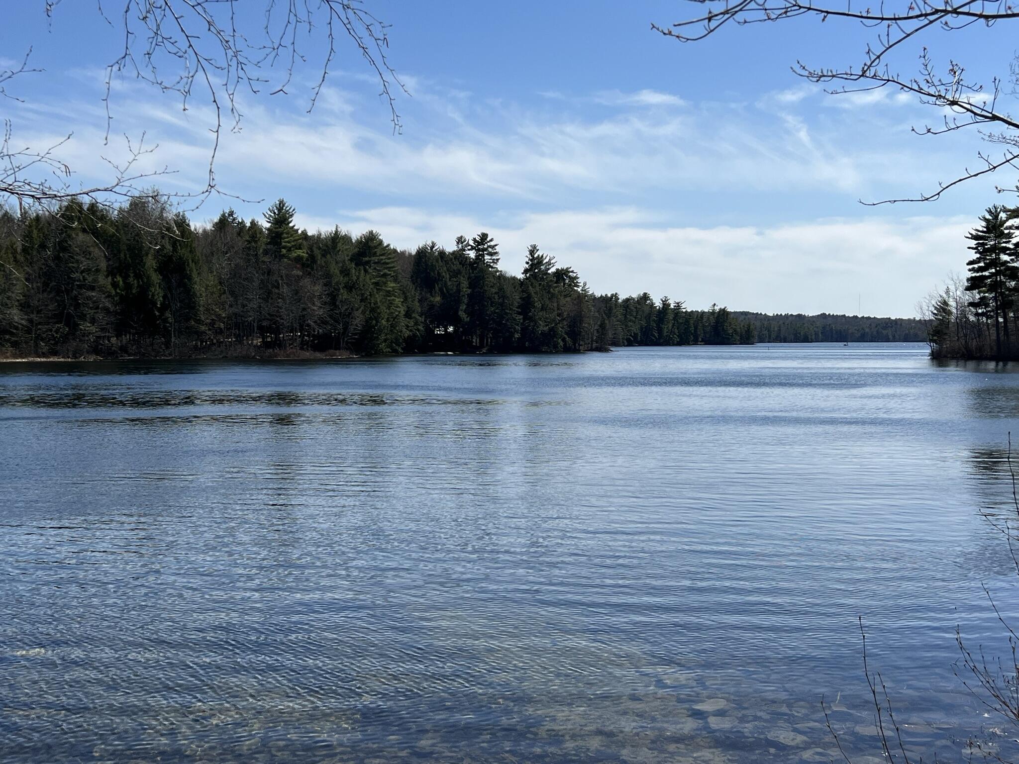 0 Cleve Tripp Road Poland, ME 04274 - Photo 11 of 16 IMG_0229