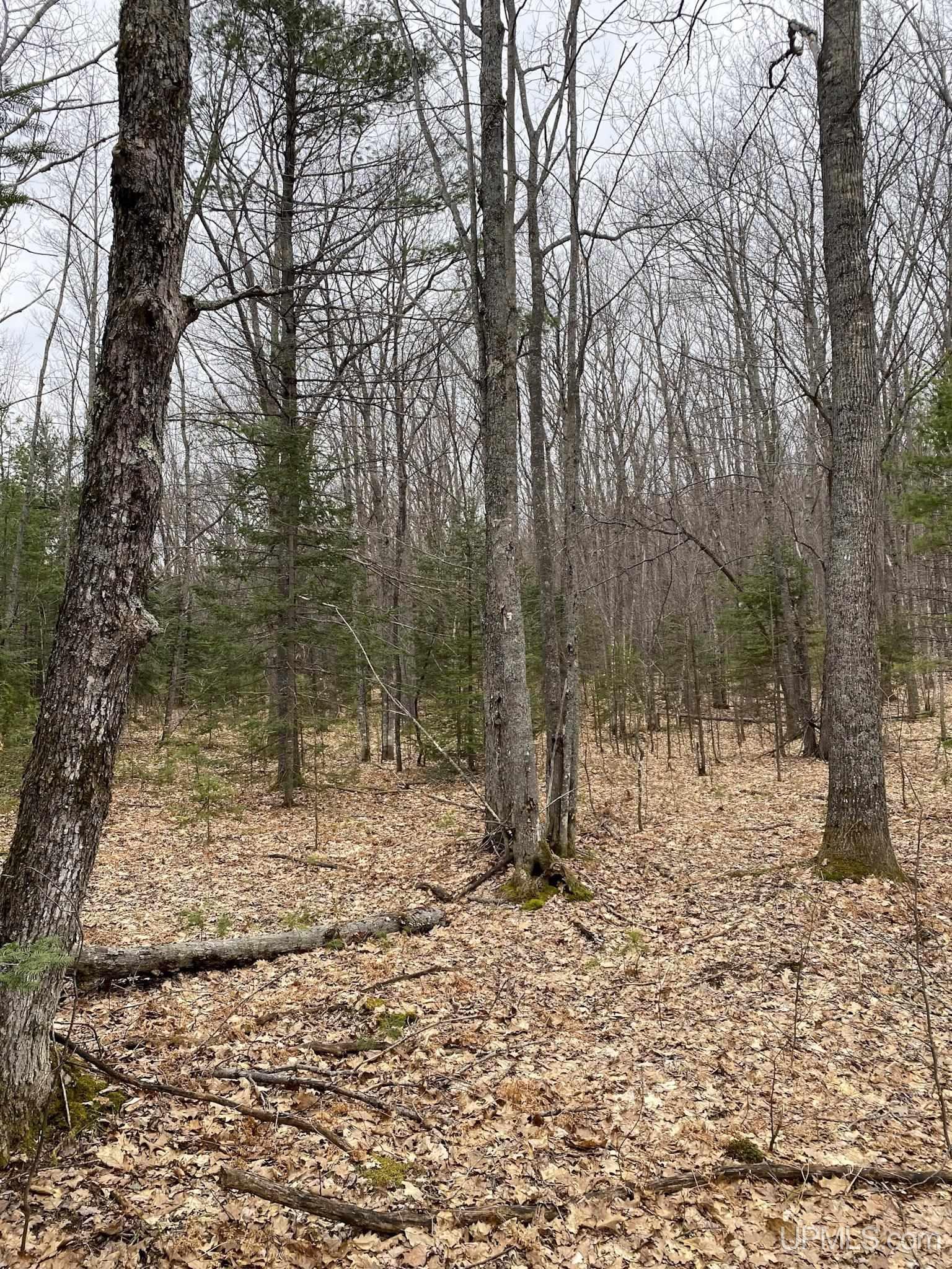 Tbd Tbd County Road Ishpeming, MI 49849 - Photo 8 of 24