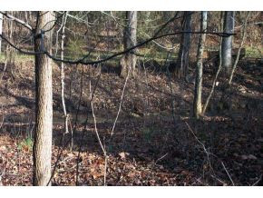 337 Gammon Road Kingsport, TN 37663 - Photo 1 of 7 Photo 1