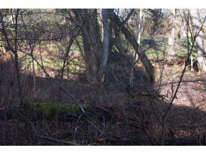 337 Gammon Road Kingsport, TN 37663 - Photo 2 of 7 Photo 2